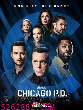 芝加哥警署 第九季