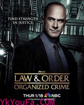法律与秩序：组织犯罪 第四季